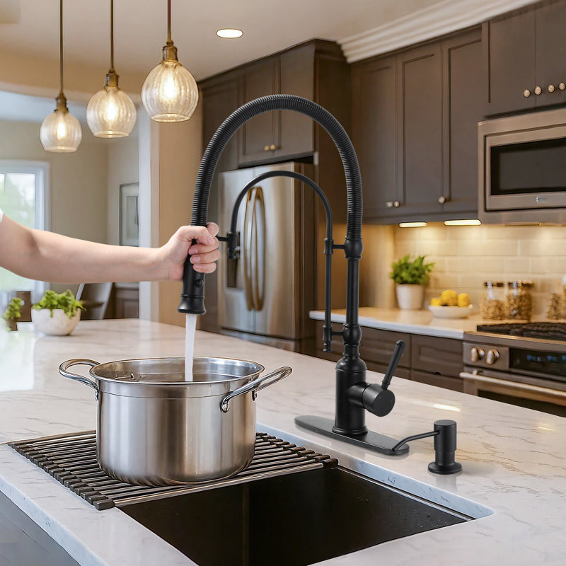 Robinet de cuisine à poignée simple avec douchette extractible et distributeur de savon noir mat, Noir mat
