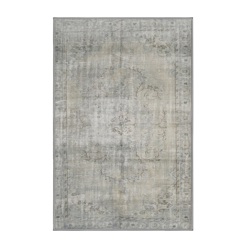 Tapis beige/brun clair traditionnel Cohocton, Rectangle 4 pi x 6 pi
