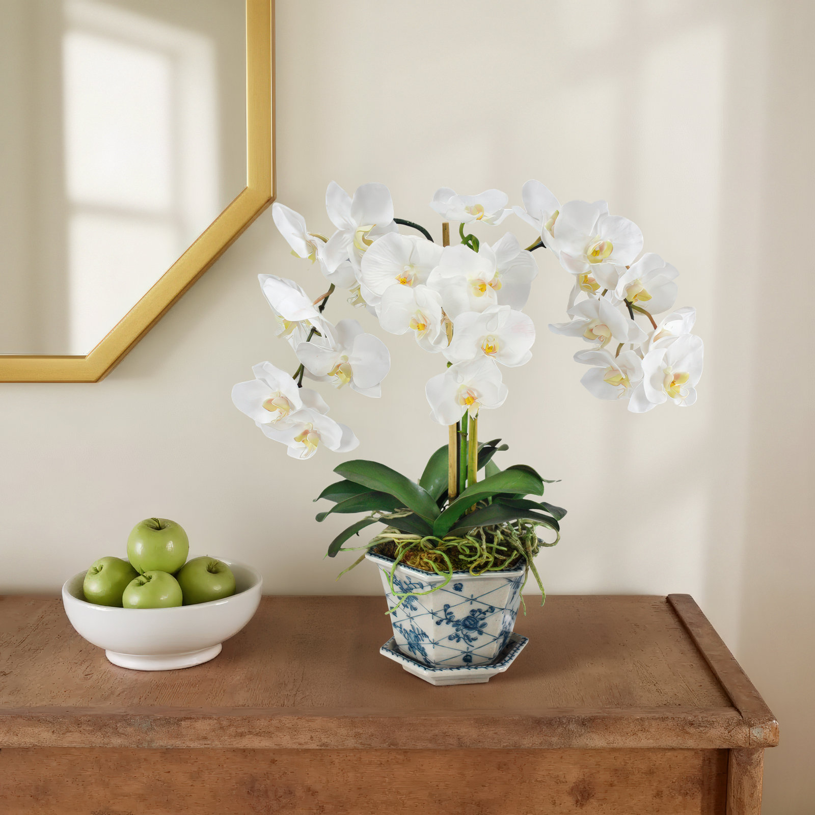 ORCHID IN ACACHE POT