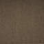 Wendy Jane Area Rug in Coconut-1082374179