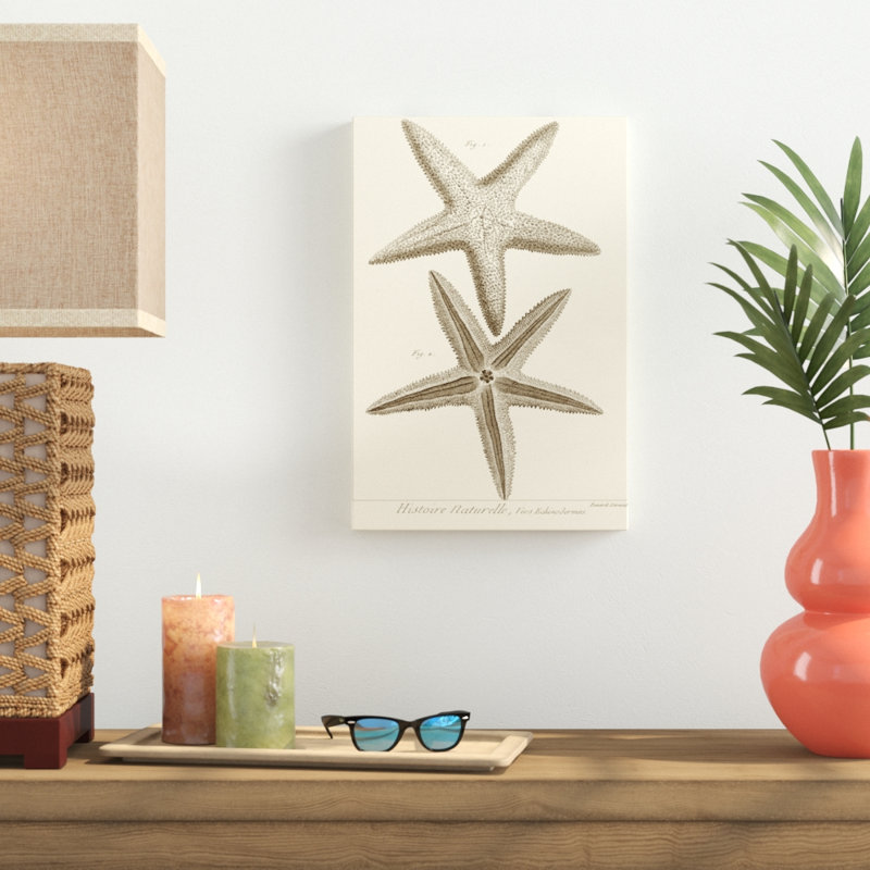 Striking Starfish I - Graphic Art, Wrapped Canvas, 46cm H x 30cm W