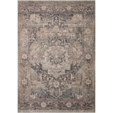 Loloi Lyra Denim / Sand Area Rug