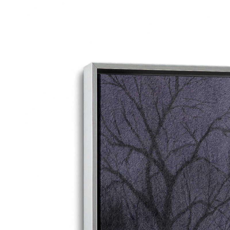 «Haunted Dusk I» par Grace Popp, reproduction d'art sur toile, Cadre flottant sans passe-partout, Argent argent