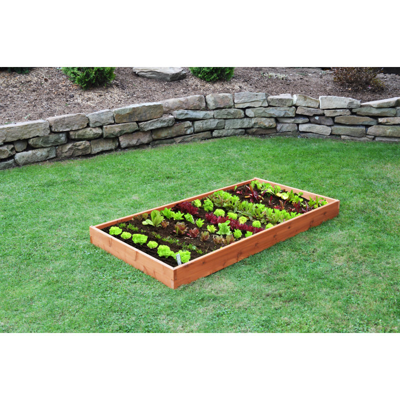 Lit de jardin surélevé en bois 6 pi x 3 pi Buckingham, Teinture cèdre