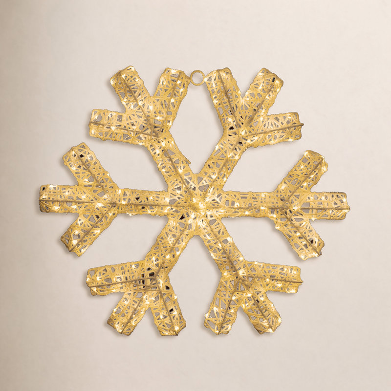 Flocon de neige DEL H 24 po