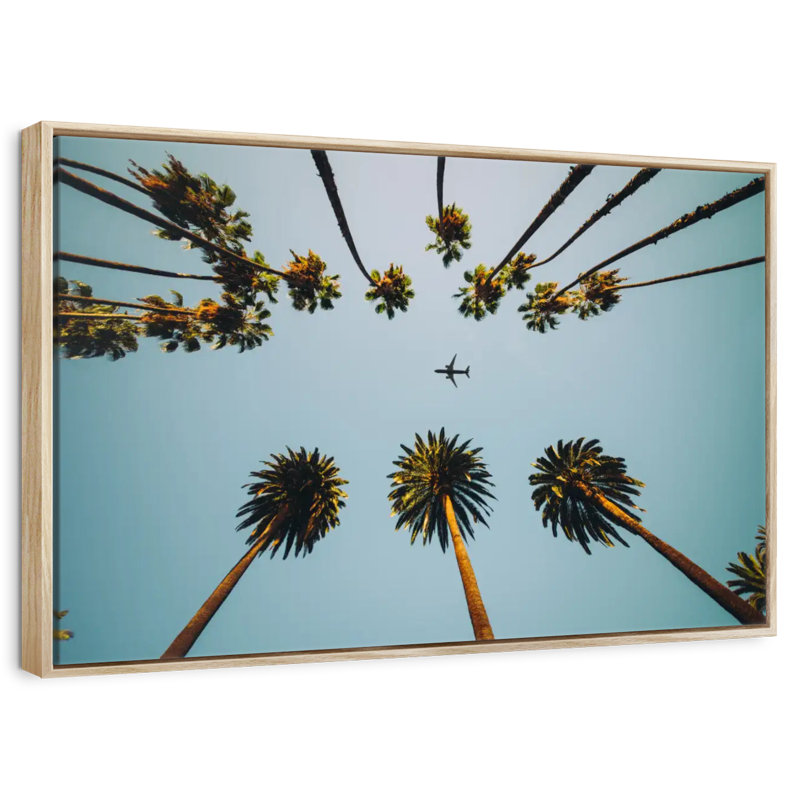 Avion au-dessus de palmiers, Cadre flottant en bois naturel, 25 po x 17 po