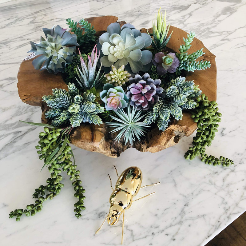 Paquet de 15 - Plantes succulentes artificielles de qualité supérieure - Plantes succulentes texturées réalistes - Plantes succulentes artificielles pour le bricolage - Faux Faux cactus en vrac