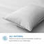Oreiller de soutien moyen en duvet de plumes (ensemble de 2)-95599738