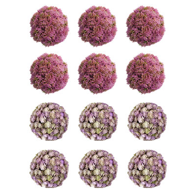 Decorative Sedum Balls