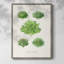 Reproduction encadrée de fruits et légumes VI - bois massif-2133343366
