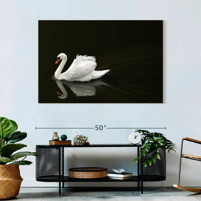 Brampt White Swan Elegance