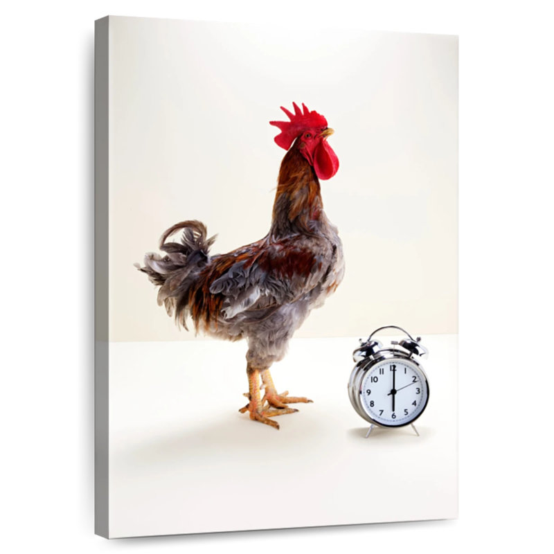 The Noisy Rooster, 30" H x 20" W