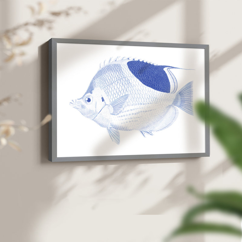 «Blue and White Tropical Fish I», reproduction encadrée, Gris, H 11 po x l 14 po