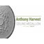 Médaillon de plafond Endurathane Reece, DE 21 po x P 1 1/4 po, (convient aux auvents jusqu'à 6 3/4 po), finition dorée de pharaons peinte à la main-28579574