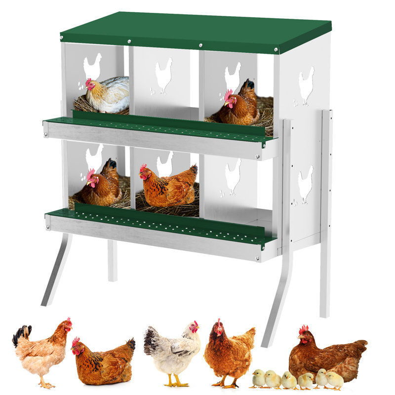 Chicken Egg Incubator, 89.5cm H x 81.5cm W x 43cm D, Green