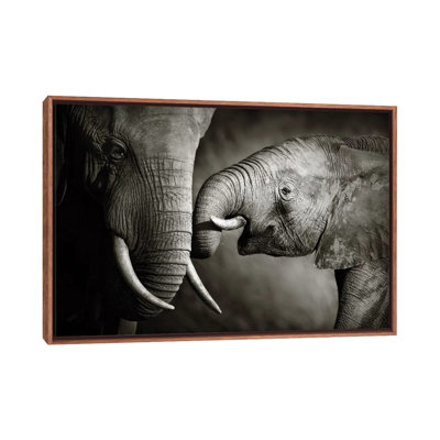 " Elephant Affection " by Johan Swanepoel