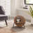 NALA 19.5" Wicker Cat Condo-66671239