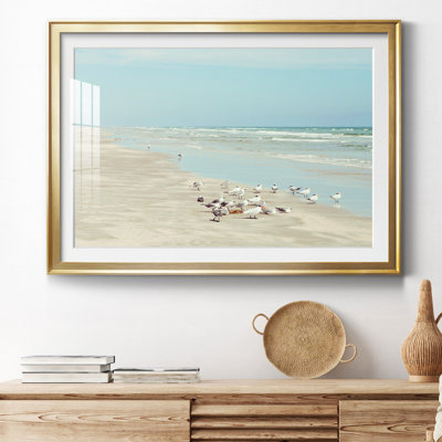 Padre Island Shore Birds - Photographie avec cadre photo