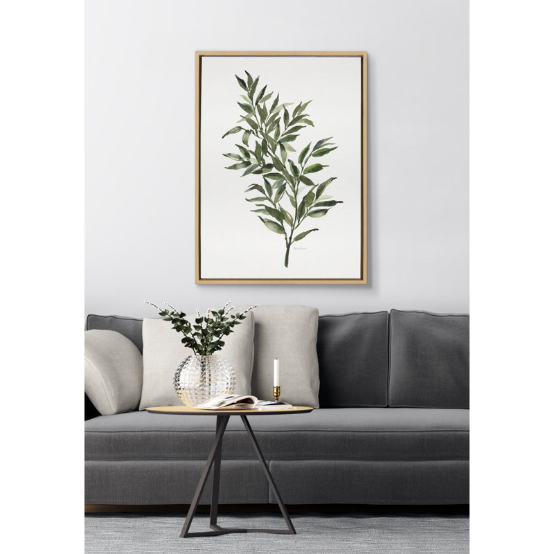 «Ruscus» par Patricia Shaw, reproduction d'art sur toile encadrée, Encadré naturel, H 24 po x l 18 po x P 1,62 po