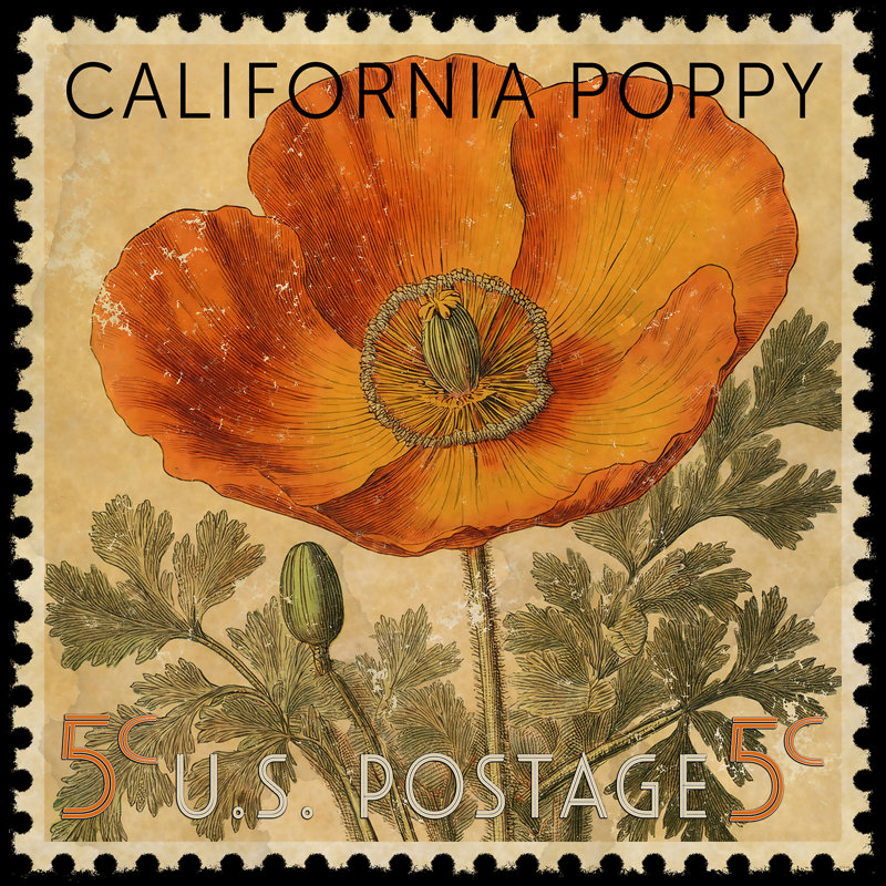 California State Flower Poppy Postage Stamp by Grotto Studios