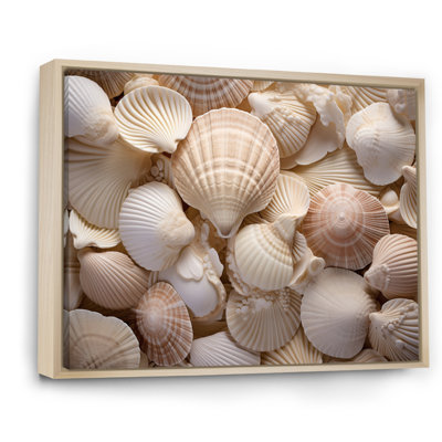 " Beige Clam Seashell Symphony I "