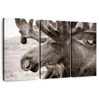 Moose Head