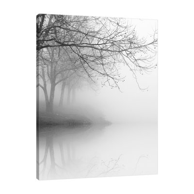 Nicholas Bell " Winter Tree Reflections " by Nicholas Bell