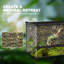 Reptile Box-115116505