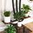 Rectangular Multi-Tiered Plant Stand