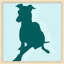 Colorful Whippet 3 Painting by Thom Filicia