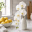 2 pièces tige d'orchidée phalaenopsis 49 "- Collection printemps 2025