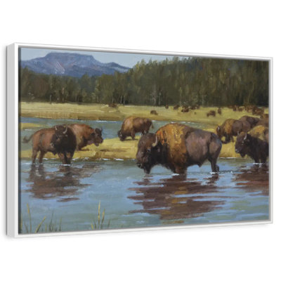 Buffalo Crossing