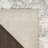 Leuchte 2' x 4' Ivory Vintage Indoor Rug-1873693094