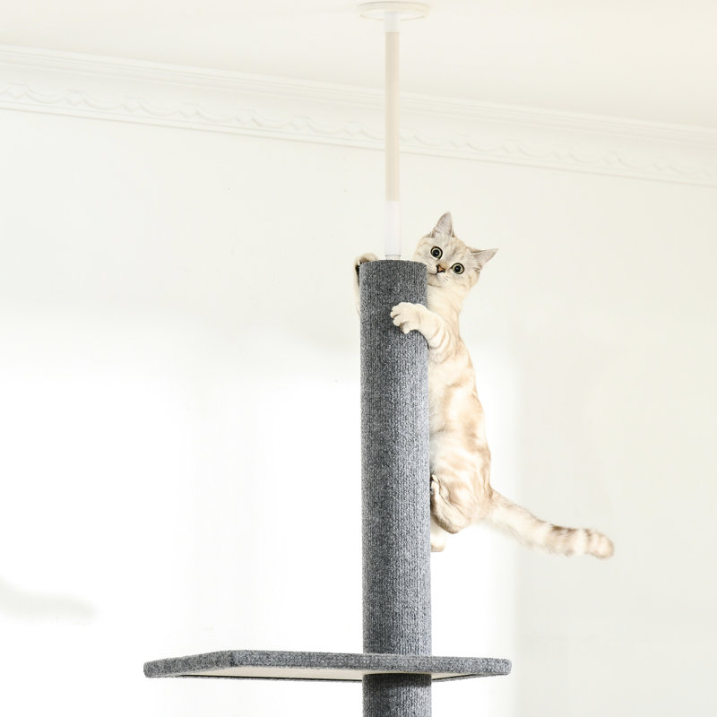 Arbre à chat de 8,5 pi de hauteur, plancher-plafond réglable avec surface douce et plusieurs plateformes pour les activités de chaton, arbre gris foncé - poteaux à griffes recouverts, tour d'escalade, chatons de centre d'activité
