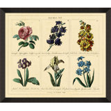Blumen N I Print