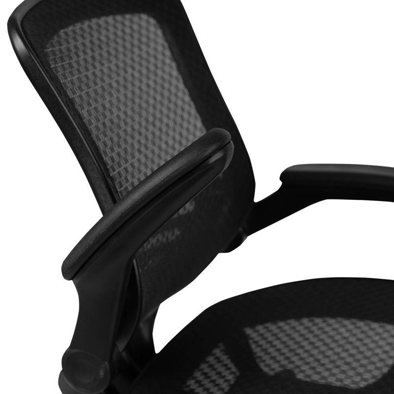 Mignone Mid-Back Transparent Mesh Office Chair with Flip-Up Arms, Black