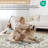 Kokichi Oriental Indoor Rug-1243271700