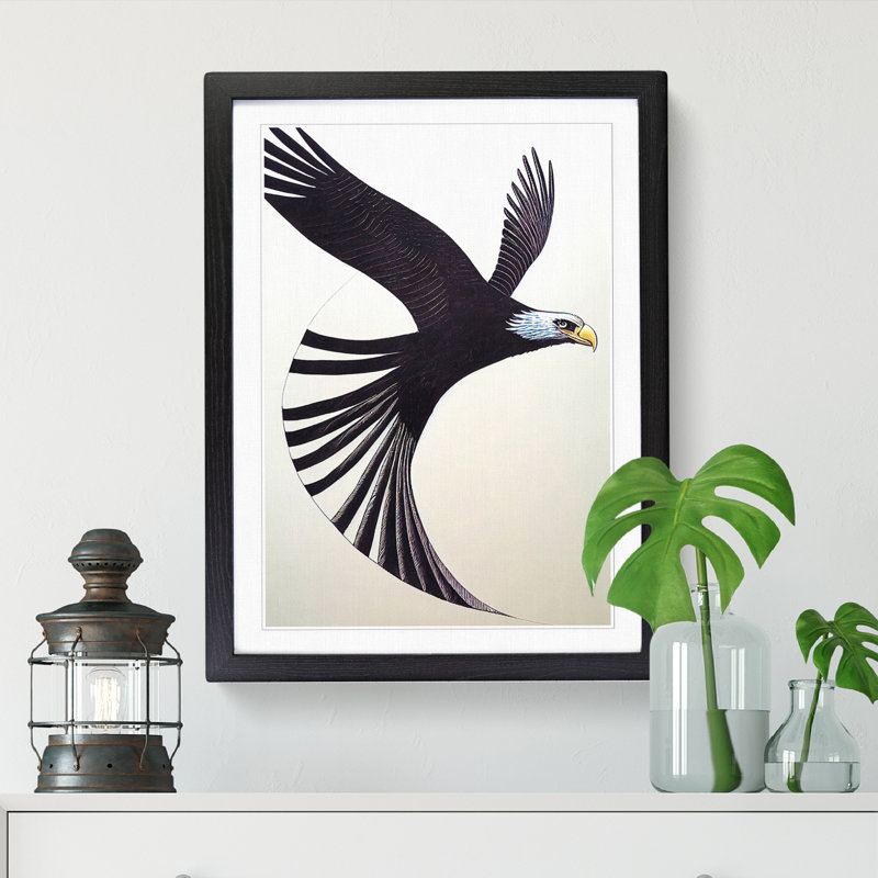 Ralston Flying Eagle - Print, Black Picture Framed Paper, 64cm H x 46cm W x 2cm D, White