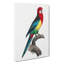 Eastern Rosella Parrot by F. Levaillant - Wrapped Canvas-55372846