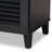Shoe Storage Cabinet-355326335-268977547
