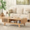 Table basse moderne avec rangement