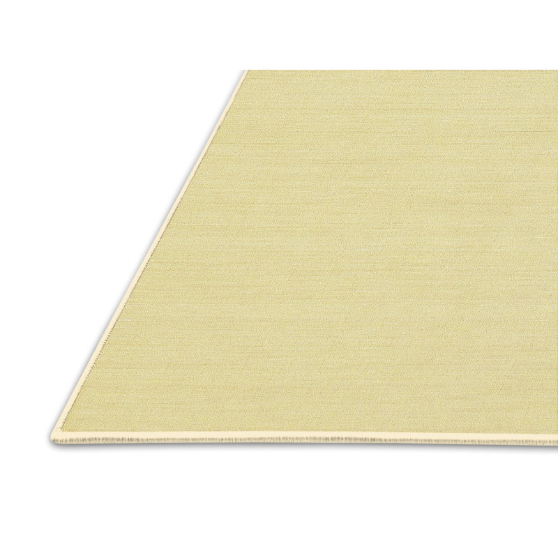 Tapis contemporain brun clair, Rectangle 2 pi x 3 pi