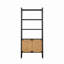Étagère de rangement à porte d'armoire en rotin naturel, étagère ouverte à double fonction avec armoire fermée pour le salon, le vestibule et la chambre à coucher