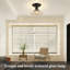 1 - Light Chandelier