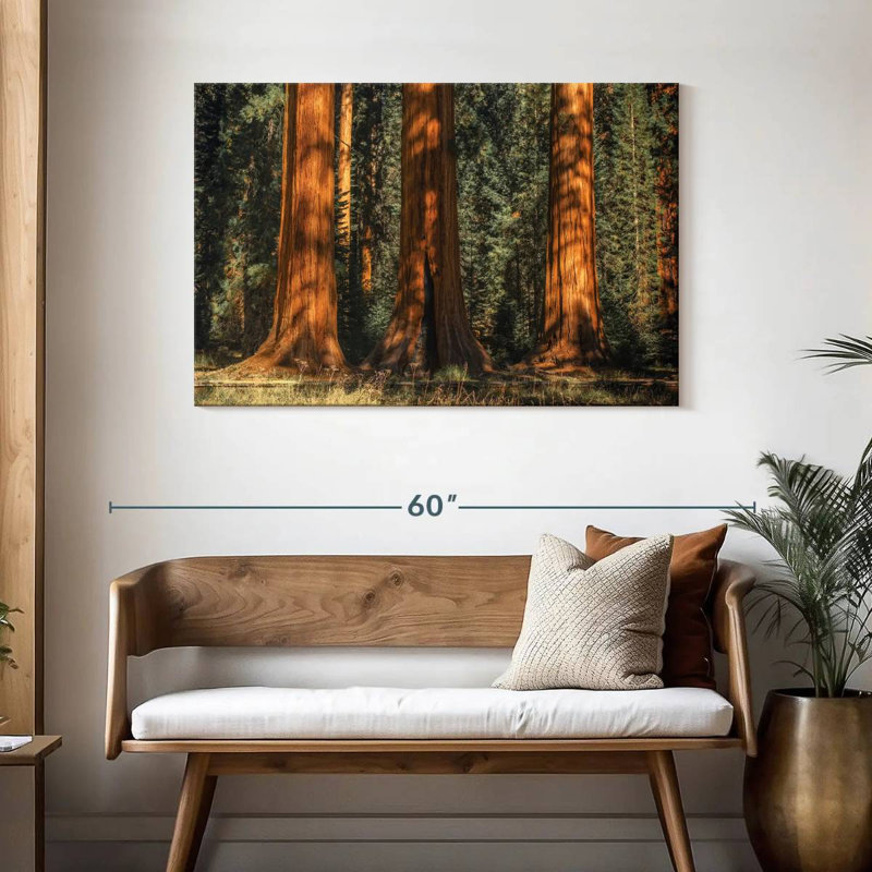 Arbres centenaires du parc Sequoia, H 30 po x l 45 po