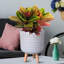 Geometric Patterned Cylinder Planter with Feet-350652355-350652354
