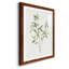 " Single Sprig I " Painting Print-1697799359-1697799356