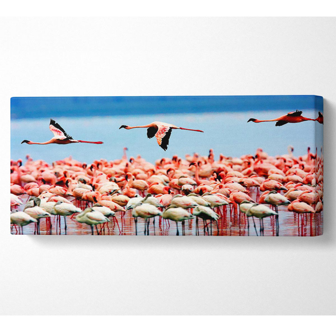 Rosa Flamingos im Flug - Kunstdrucke auf Leinwand