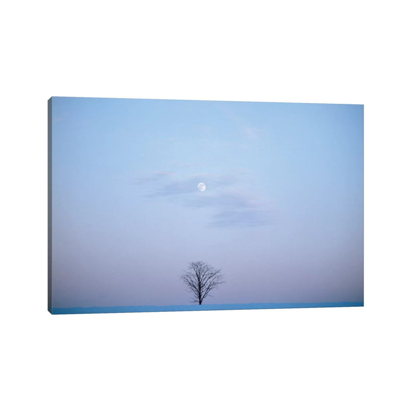 Single Tree In Winter Landscape Evening Moon by Vintage Images - Wrapped Canvas Print, 20.32 cm H x 30.48 cm W