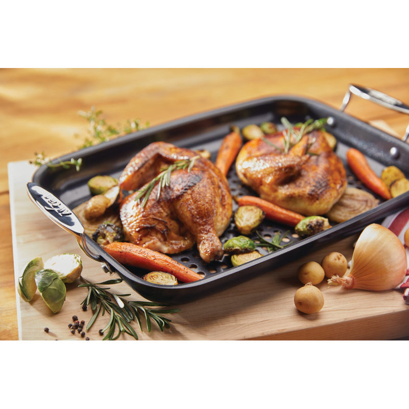 ALL-CLAD Nonstick Outdoor Roaster